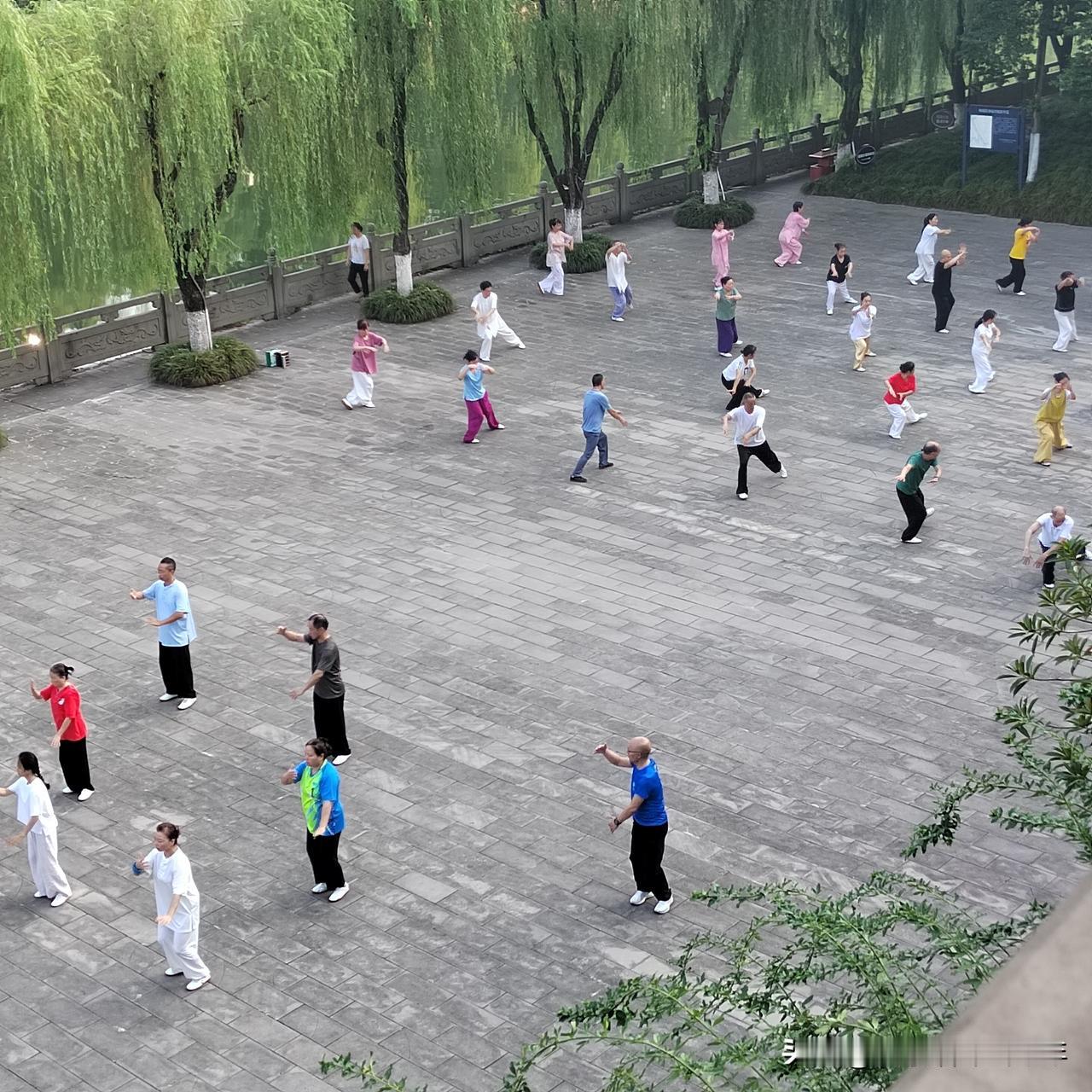 这一群男男女女，最年轻的应该都有50多岁了吧。