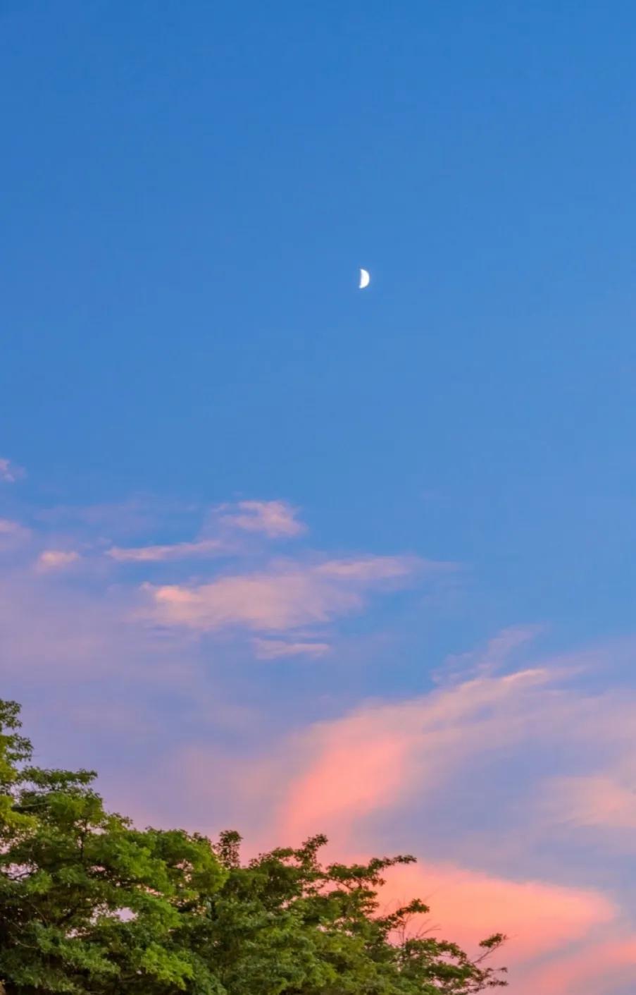 △新秋早晨即景△
☀️🌸🍃🍒
彩霞追月映西山，
凉送秋波怕衣单。
蝴蝶探花