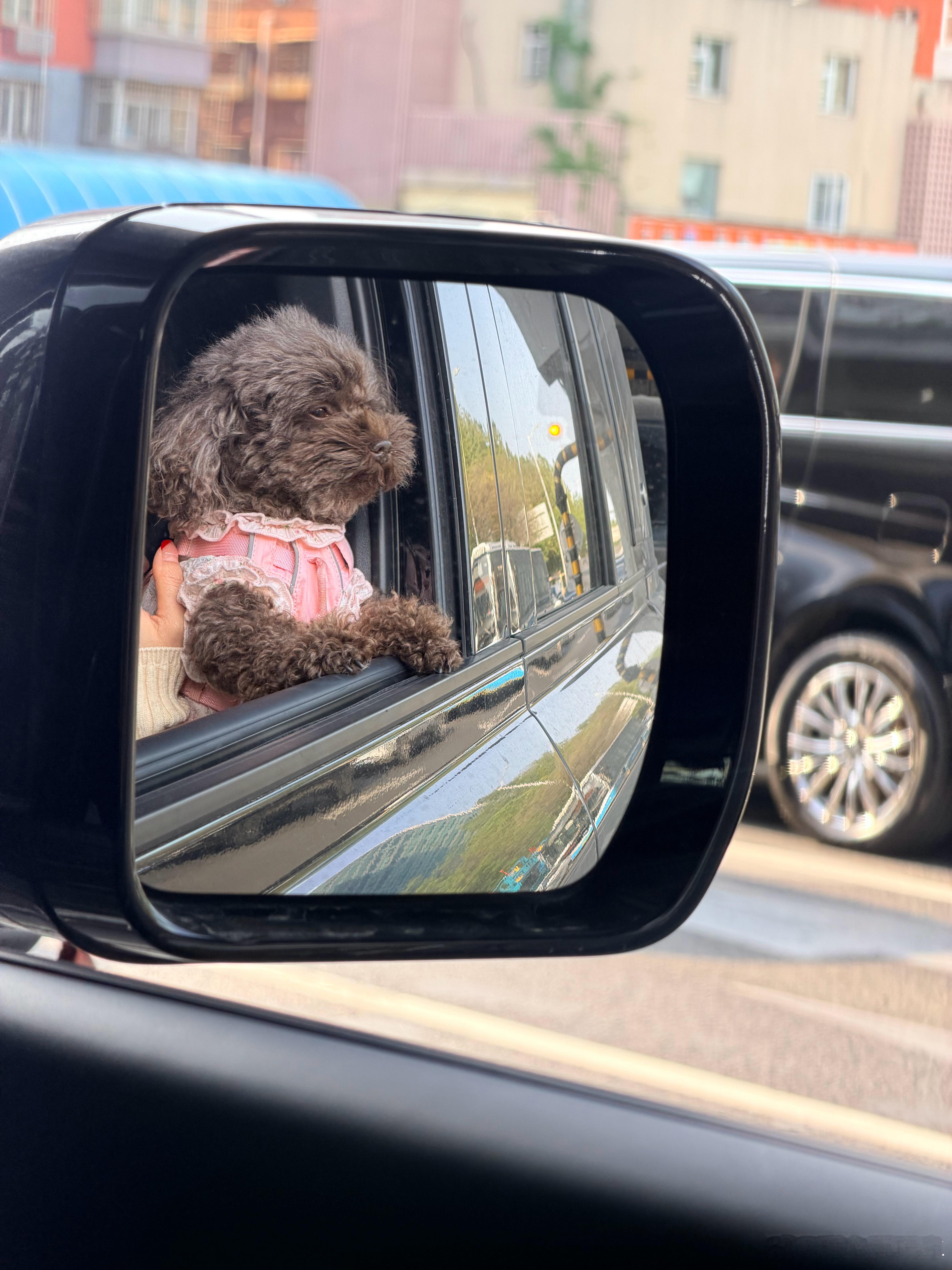 一张图证明我来过这里 北京