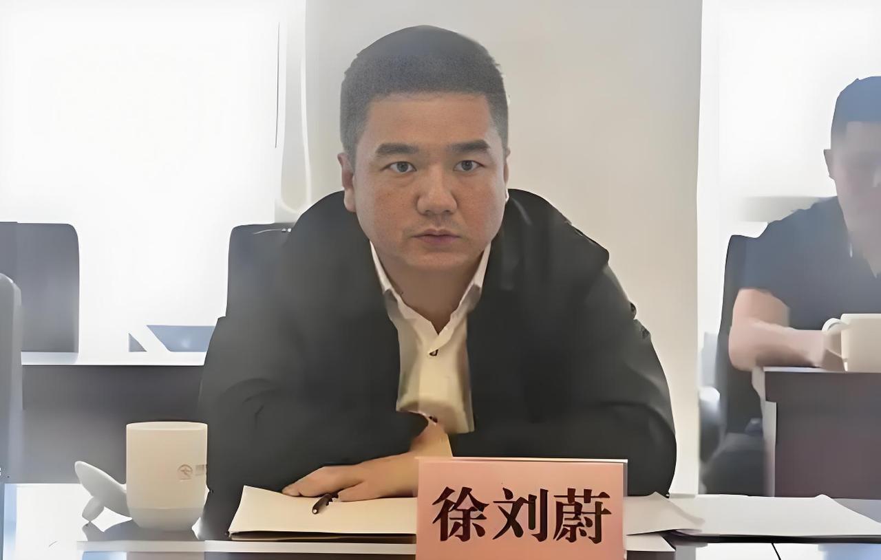 那个曾与王健林“过招”的徐刘蔚进去了
2014 年，万达集团计划开展整县帮扶扶贫