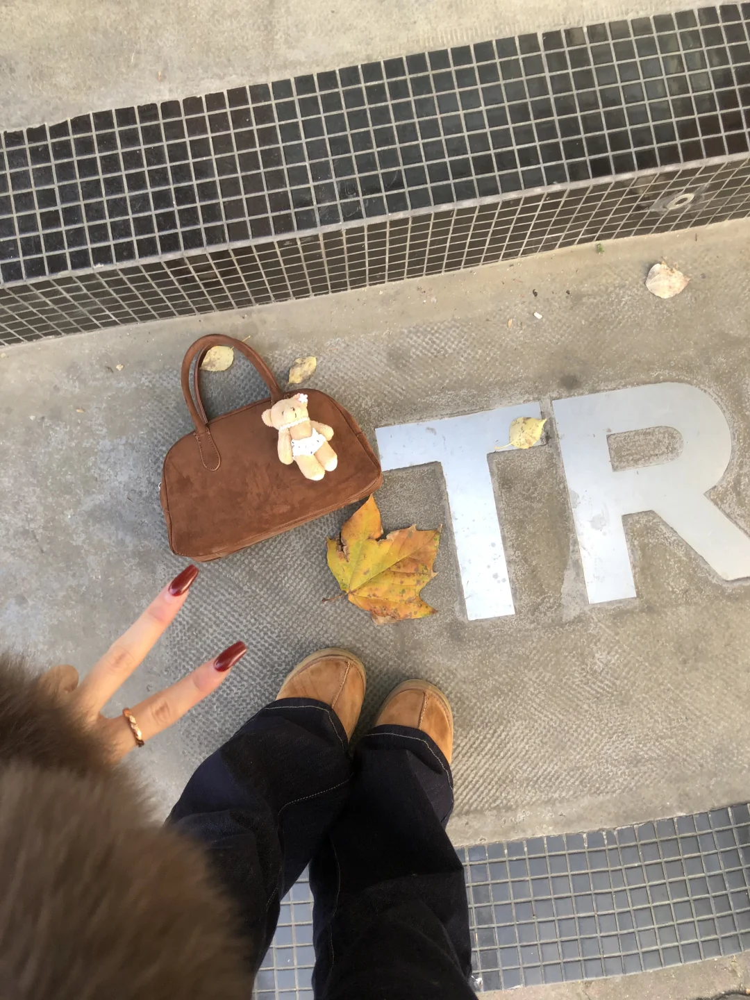 秋日来信🍂