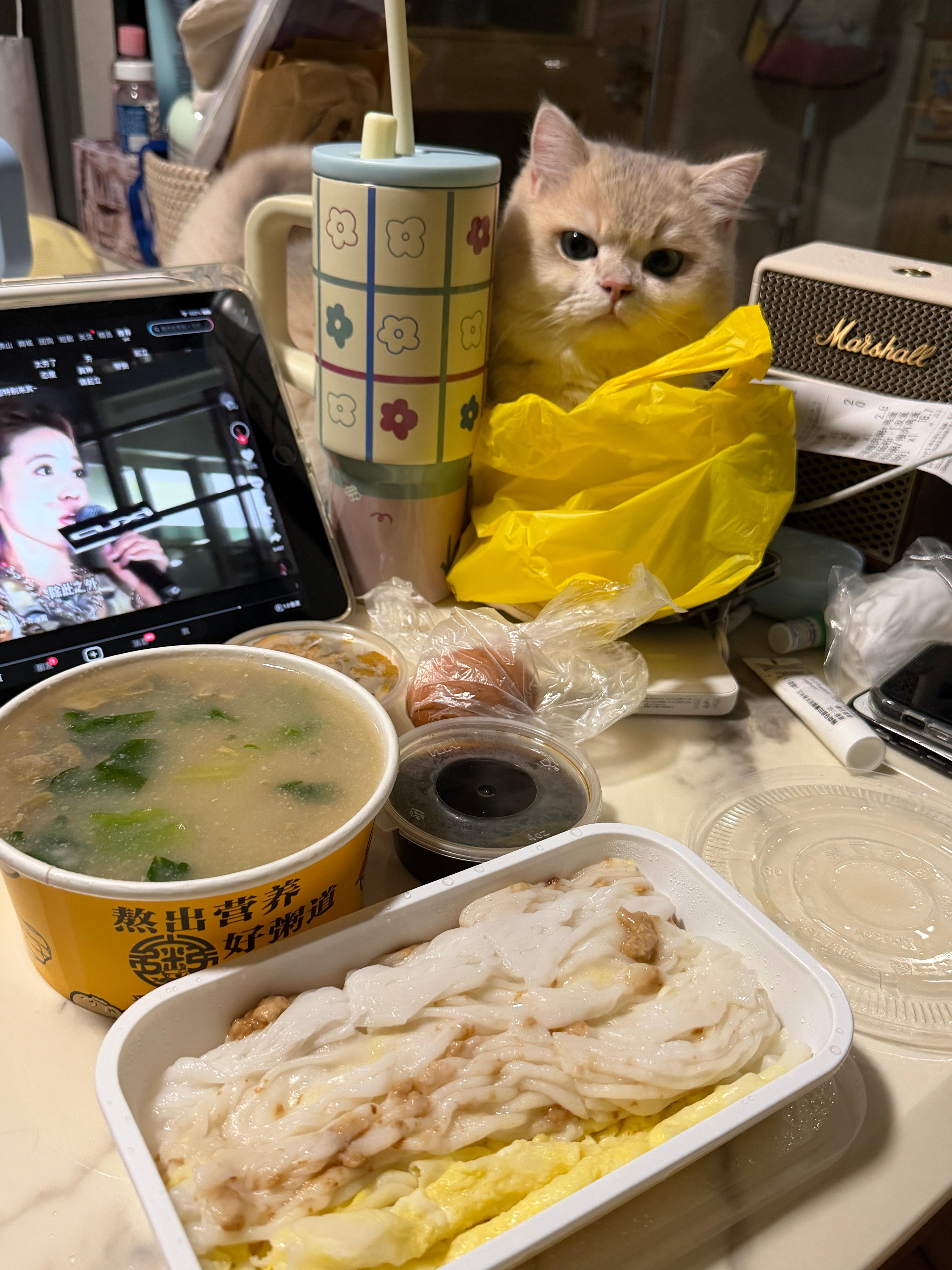 虽然说深夜更新没人看 但这也算努力更新了吧！（还有我最近真的好喜欢纯白 虽然很多