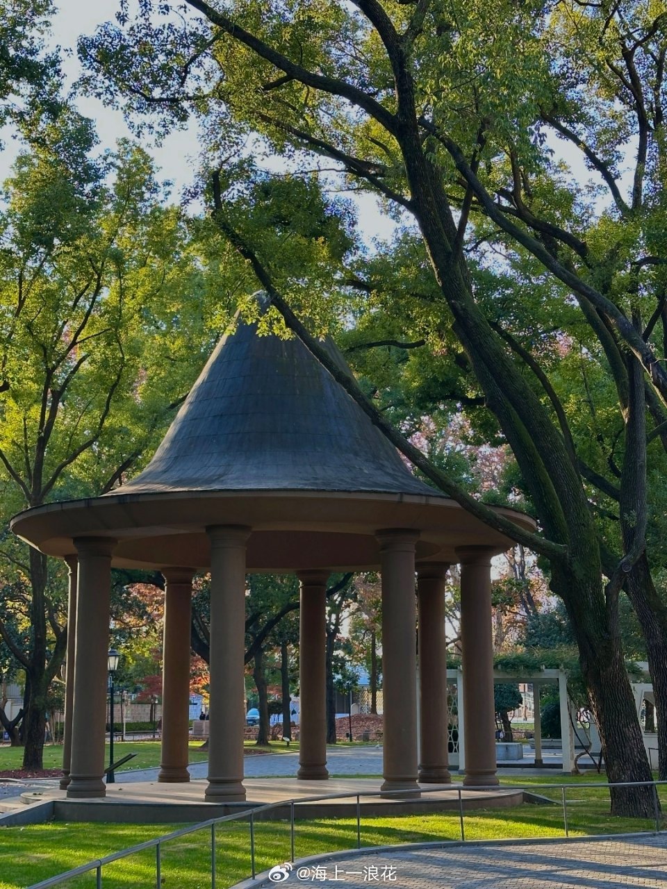 自从中山公园打破围墙后，每到周末就长满了人，住在附近，太幸福了。随处可见高能量退