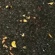 阳光信用 阳光信用 每日一善 善因善业,恶因恶业,因果循环,千年不空!善言善行善