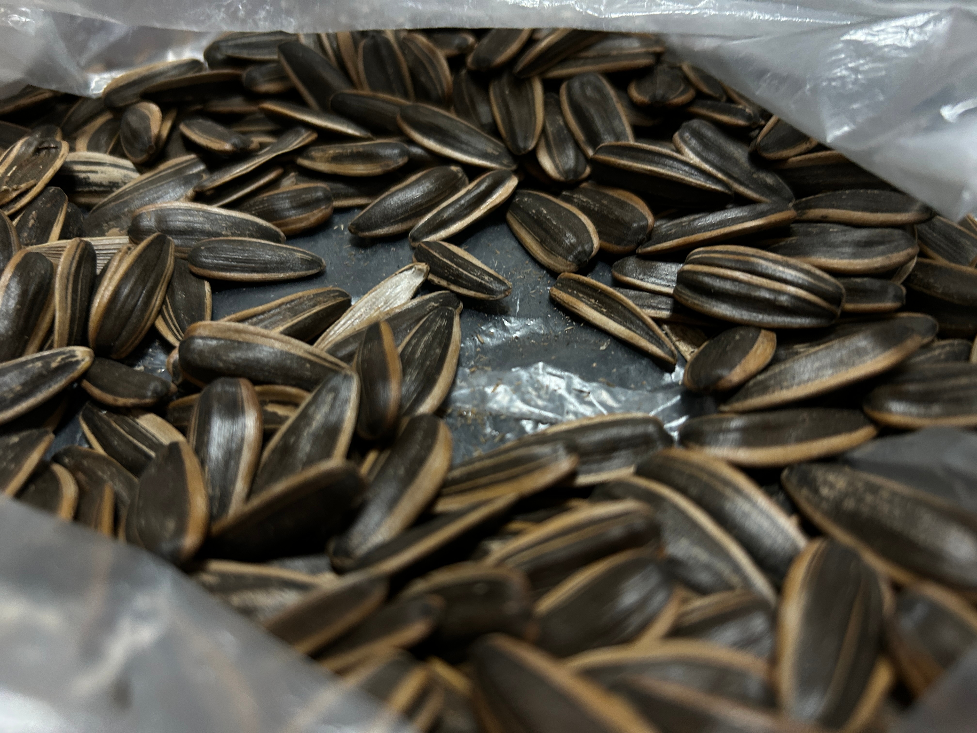 嗑瓜子这事儿吧，就是一开始就停不了，不到嘴起泡就不行。对了！这瓜子是藤椒味的，昨