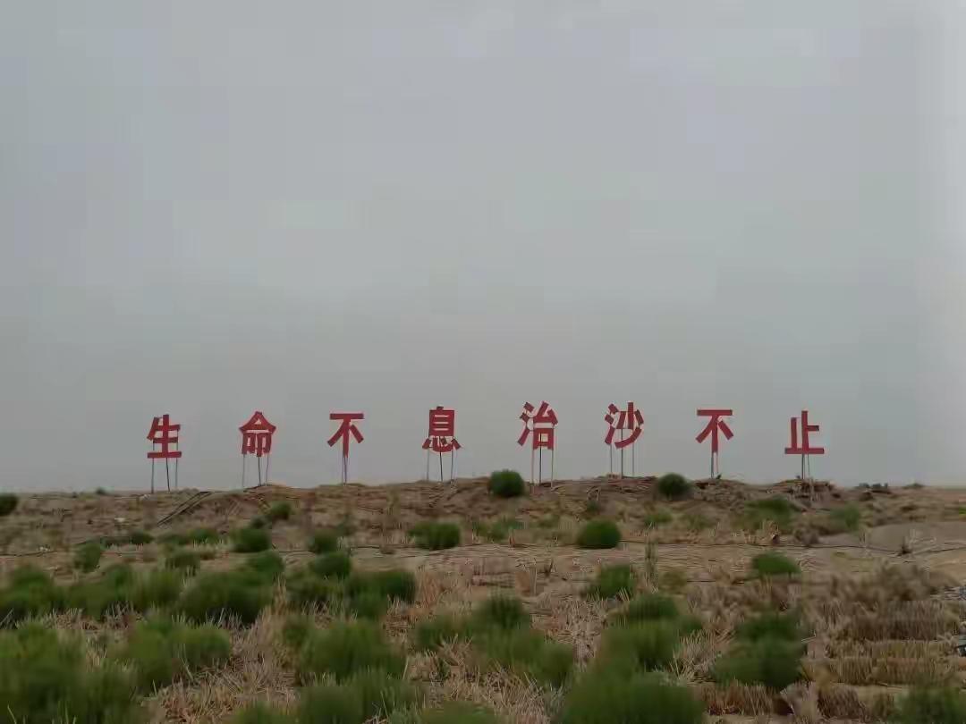 目前看，为了充分调动起相关方防沙治沙的热情和持久动力，平衡好和保障好相关利益，国