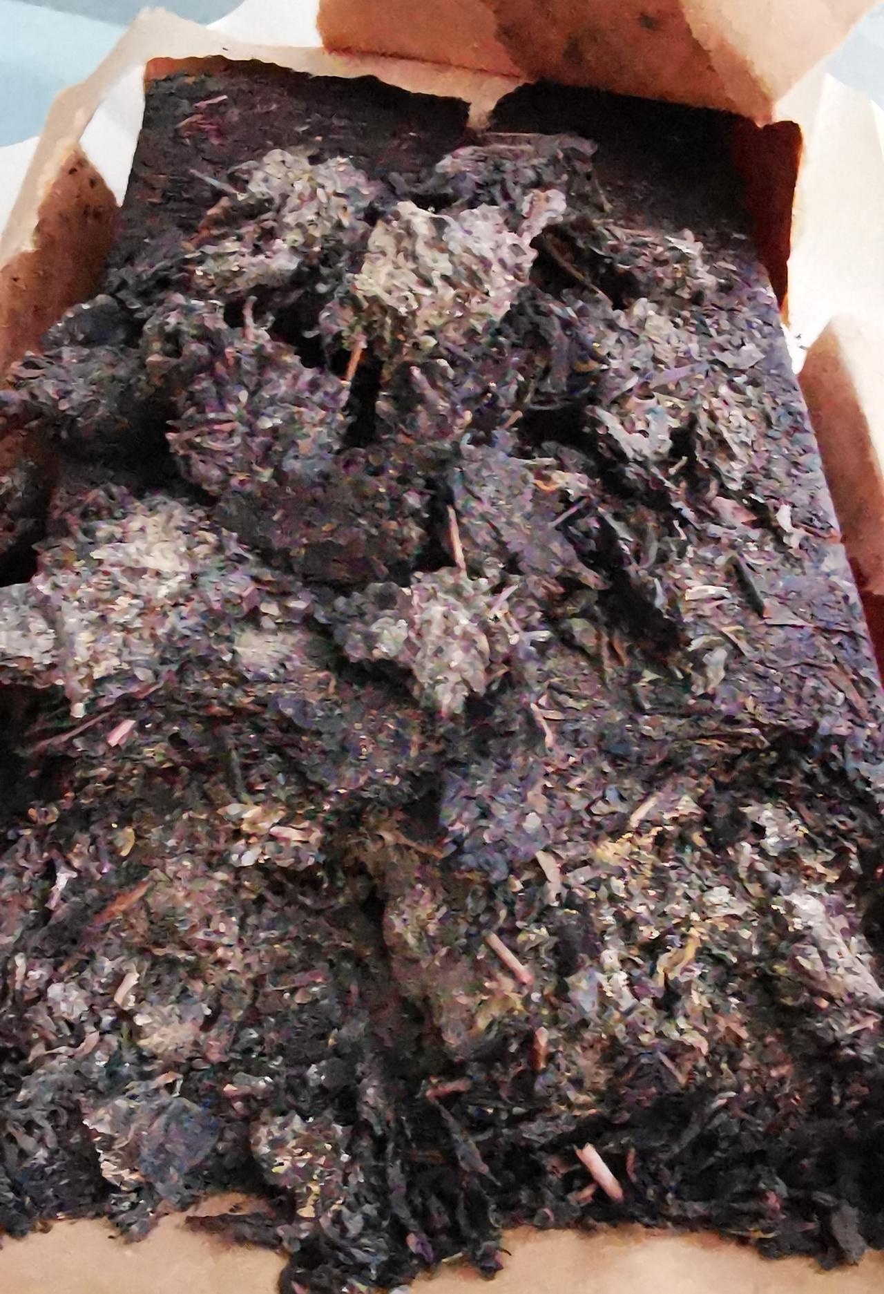 亲戚过年给拿了一块茯茶，用撬茶刀撬开就这个样子，不知道能不能喝？