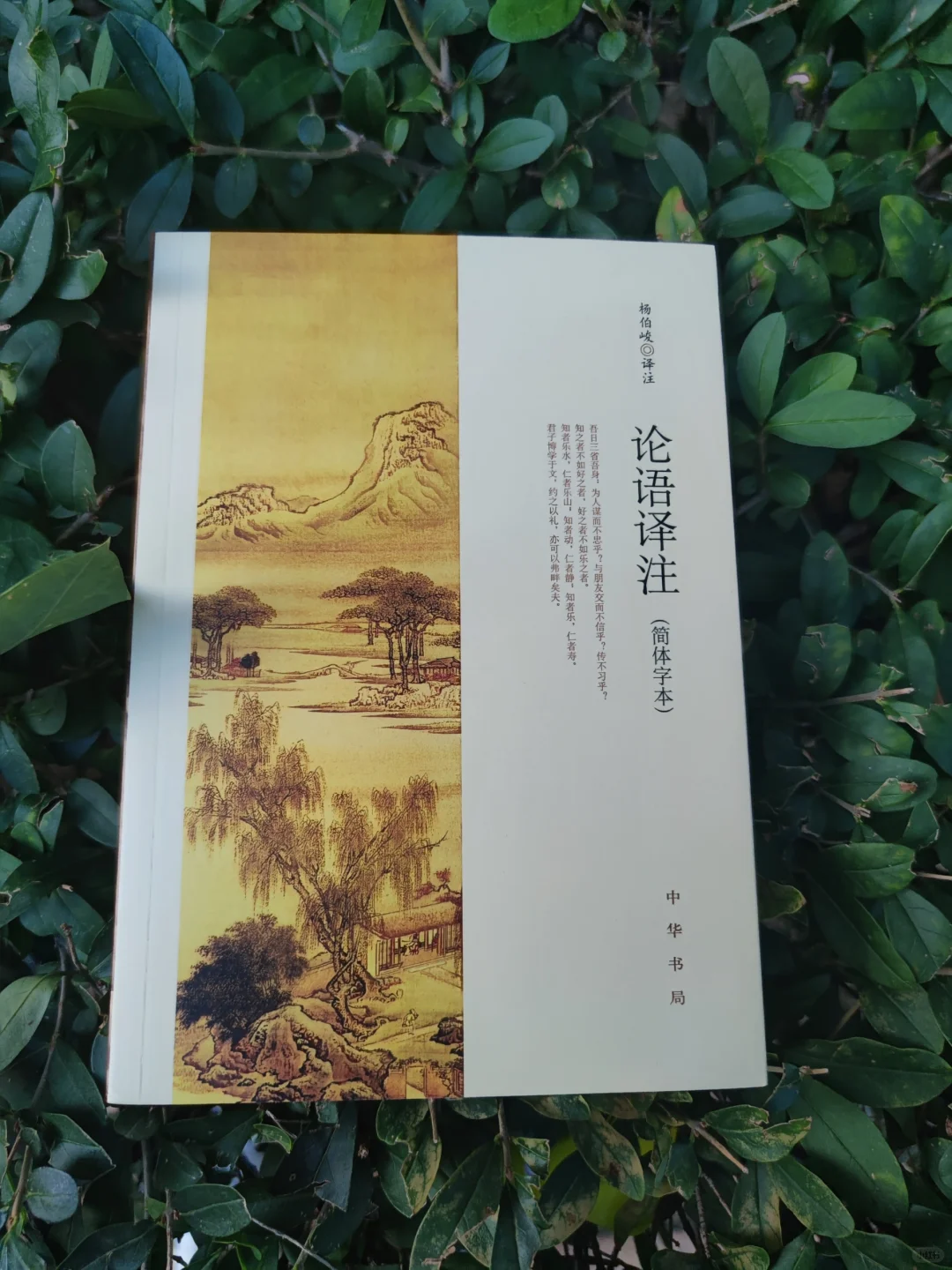 《论语译注》:常读国学经典，永远在路上！