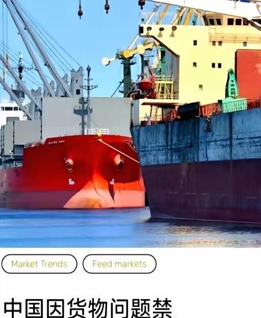 要我说，这巴西几家出口商是真不长记性！快7万吨大豆，就因为被检出掺了带农药的麦粒