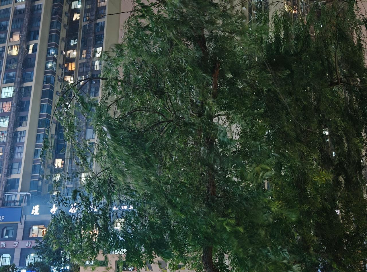 成都今晚这个妖风，有点猛……  ​​​