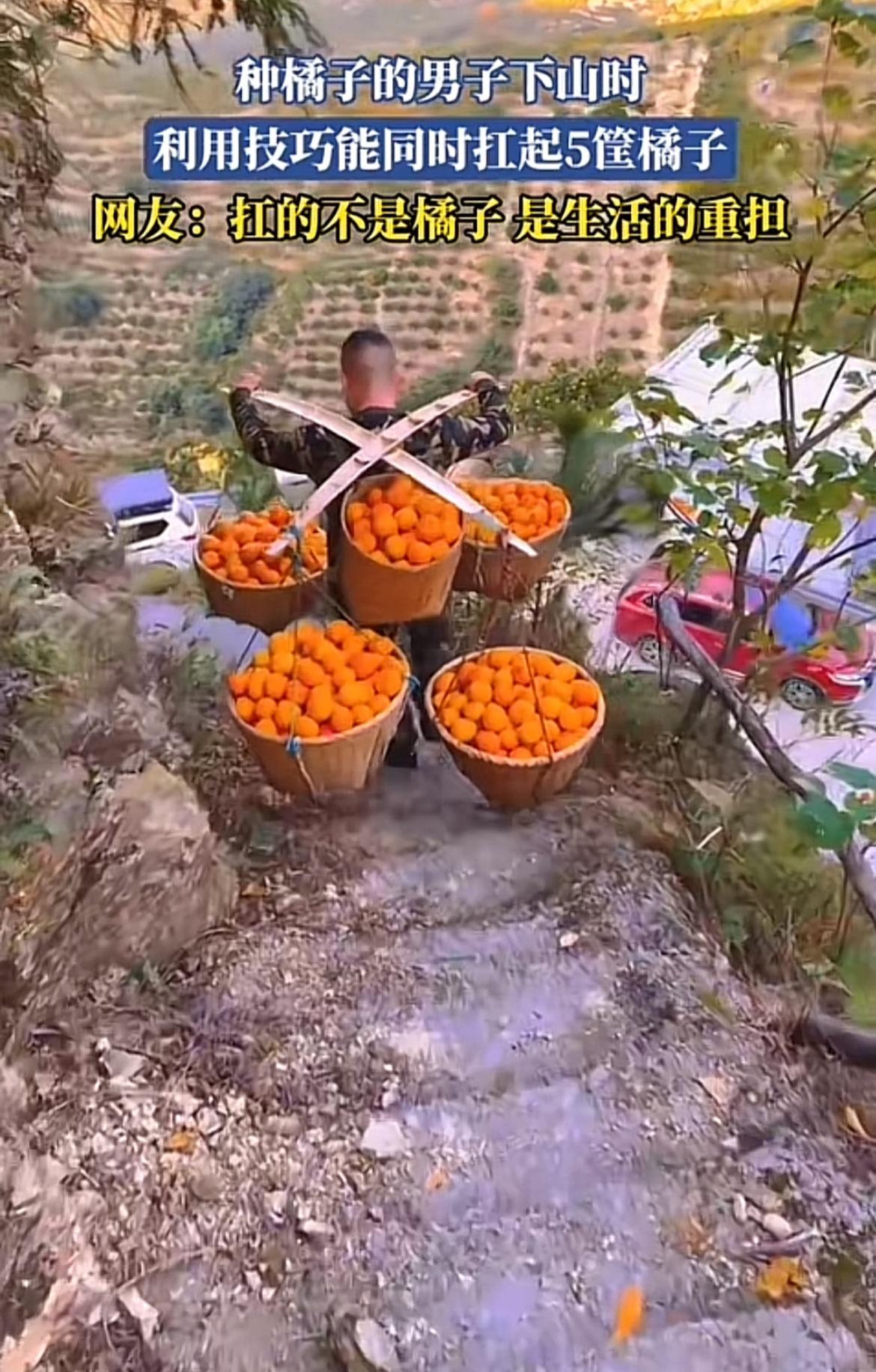 “背起生活的重担，种橘子的男子下山”，这画面太有冲击力了。就像当年那个“凉山男孩