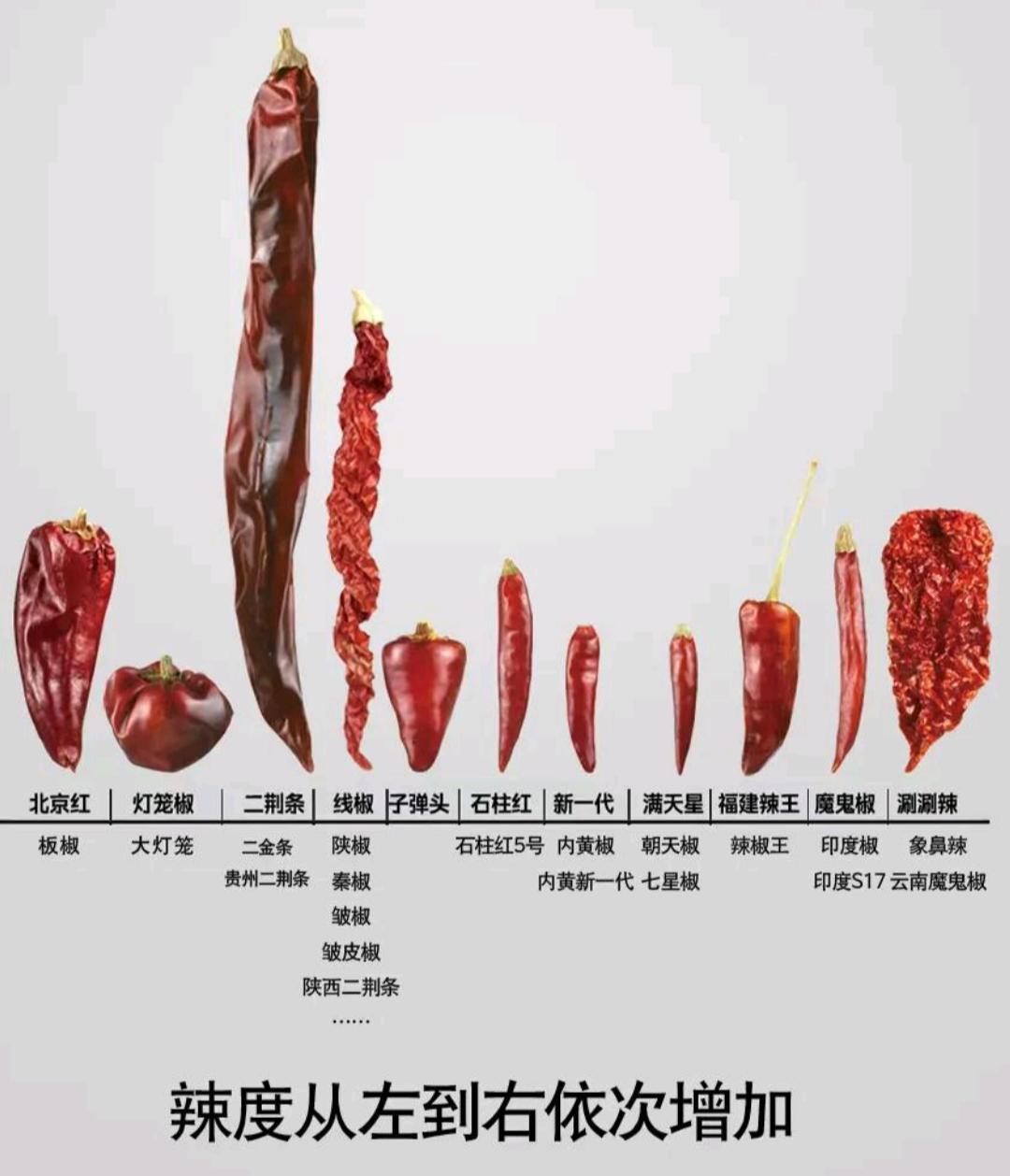 以后谁再跟你提辣椒，你就有话说了……