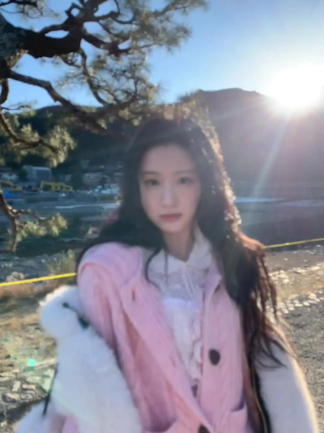 人面桃花相映红