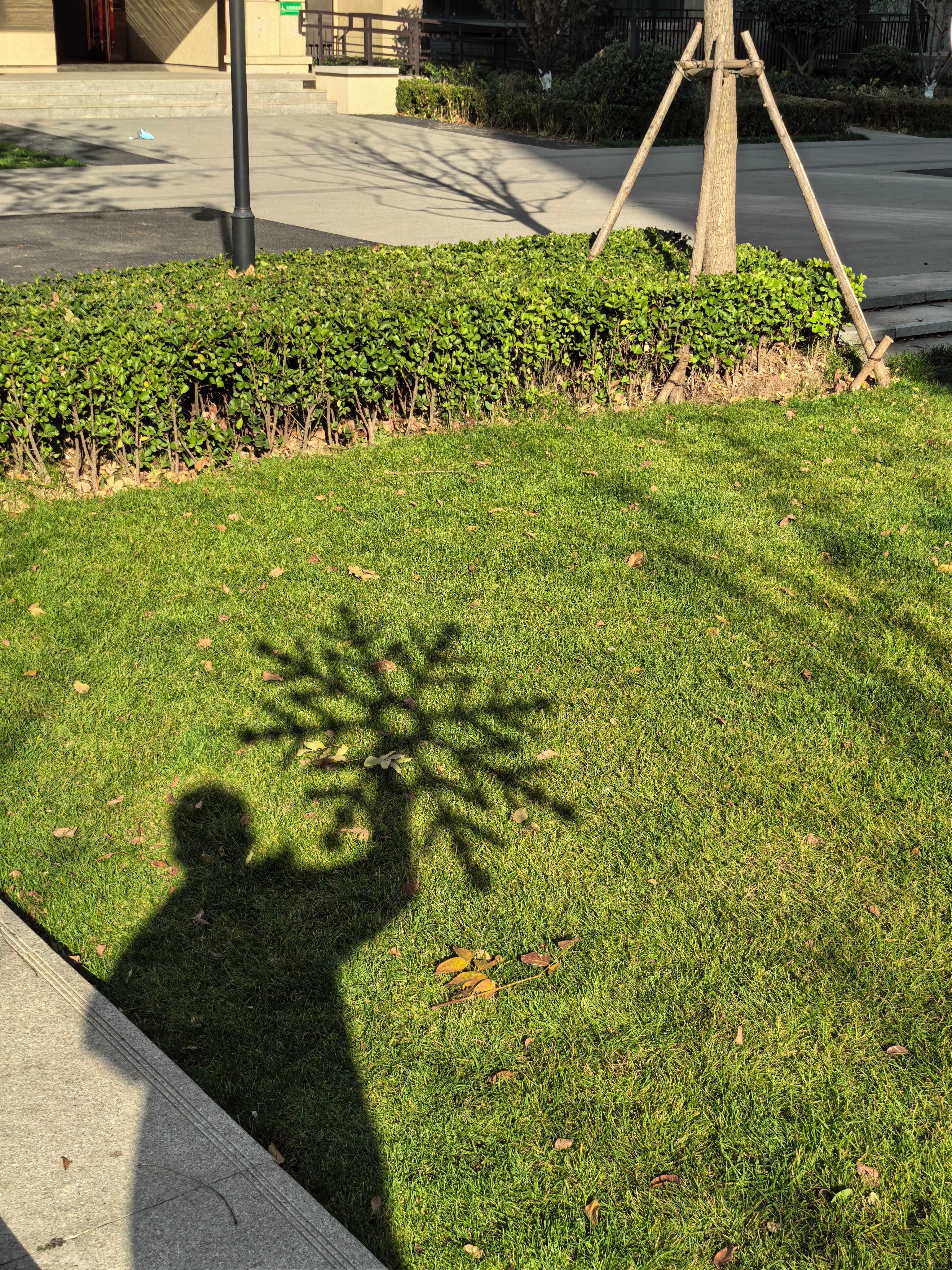今天 大雪节气南方人是不是没见过雪花？还是我宠你们，楼下捡起一片给你们看。[可爱