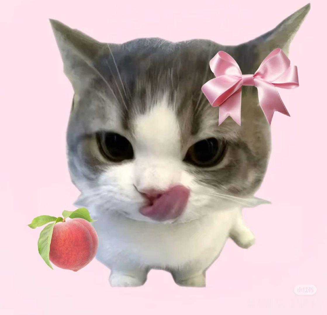 抓马人有自己的发疯文学情绪不藏，快乐直给，日常小崩溃、大起大落全写在脸上。别人冷