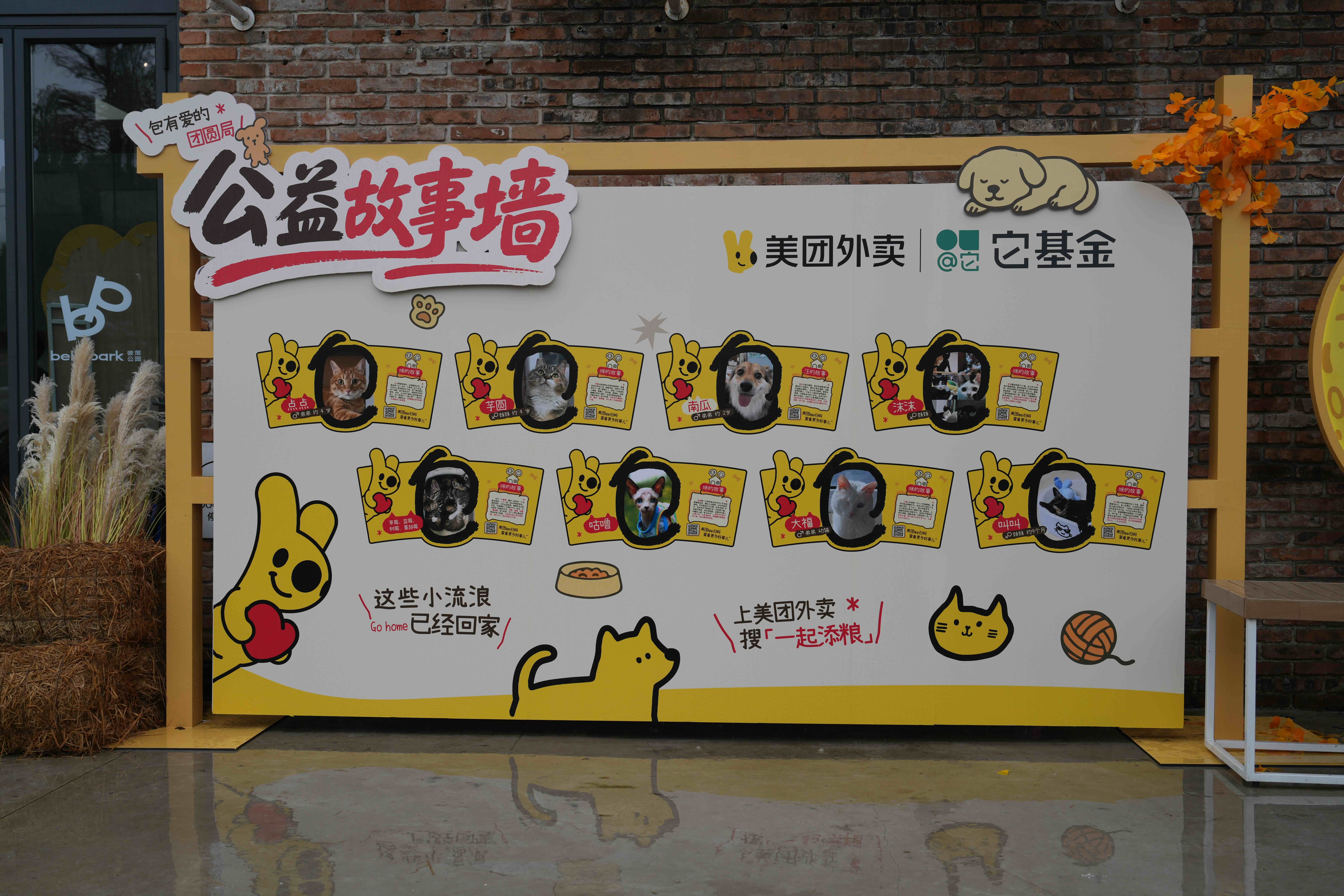 美团外卖包住爱 中秋前夕，北京那场美团外卖动物公益活动，最戳我的其实是公益故事墙