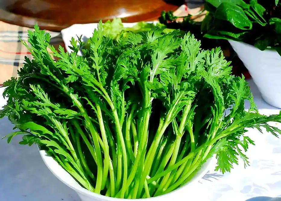 茼蒿再次被点名！医生：吃得越多，癌症患者病情或有好转？真假？别再被“抗癌神菜”忽