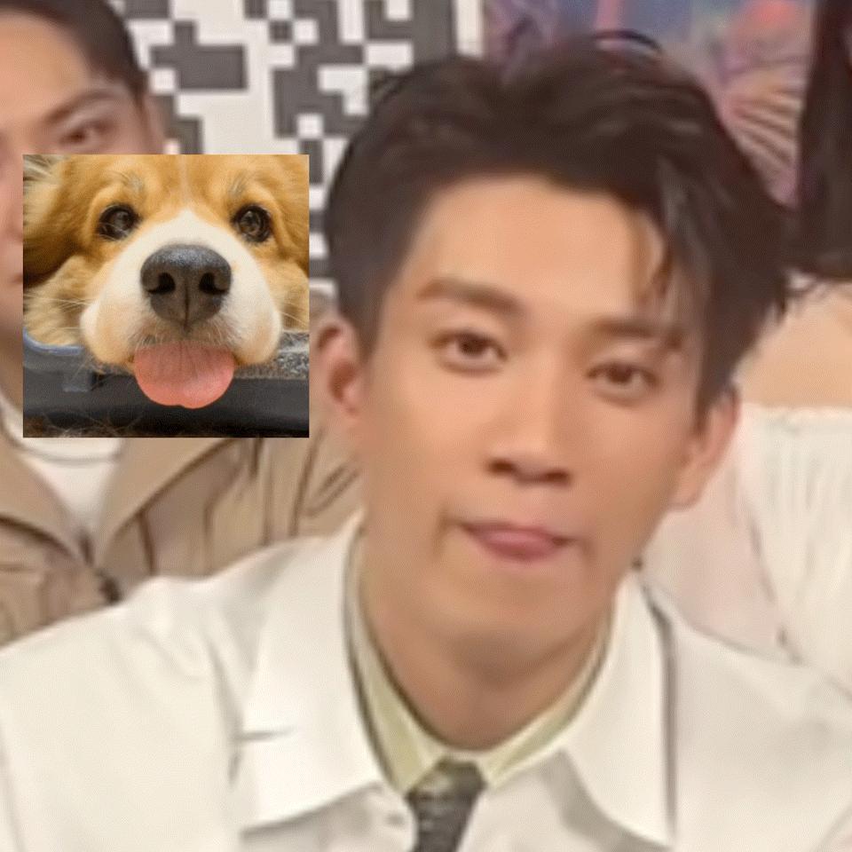 咋办 就这么萌晕我 