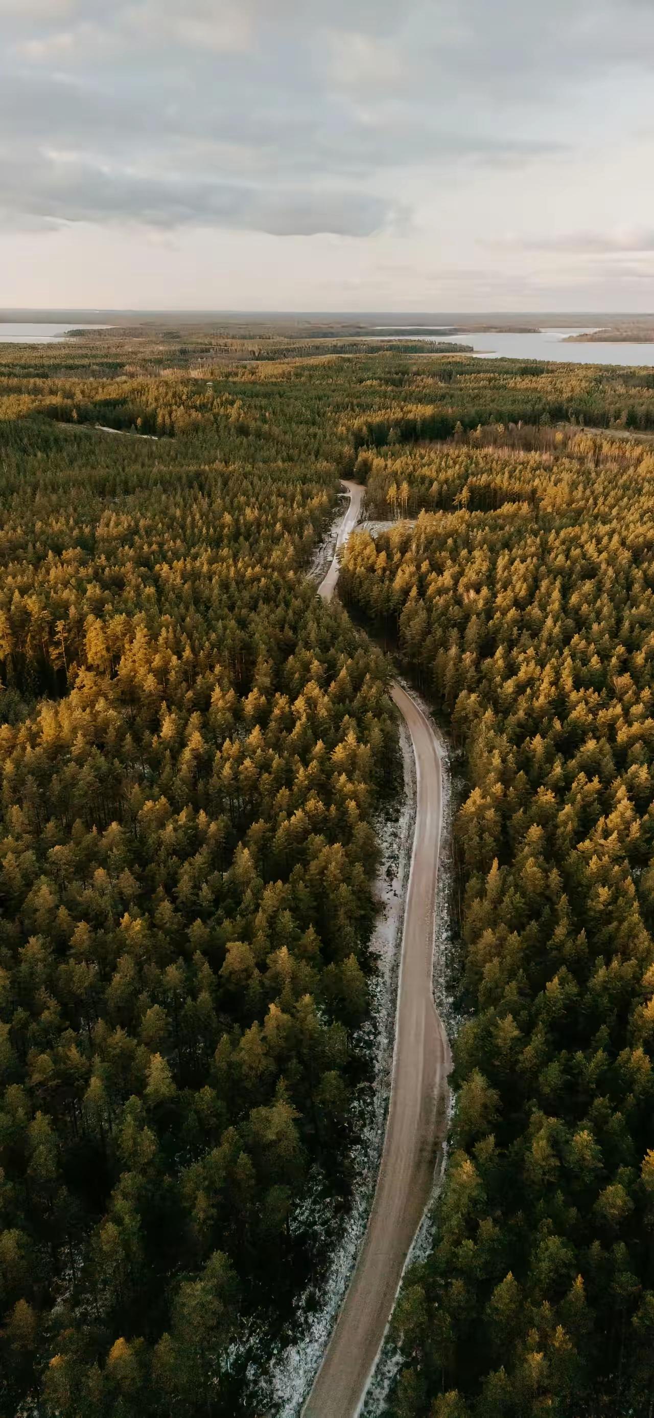 生理学教授说:
“男女一旦发生关系，一辈子都忘不掉，但是，男女的忘不掉是不一样的