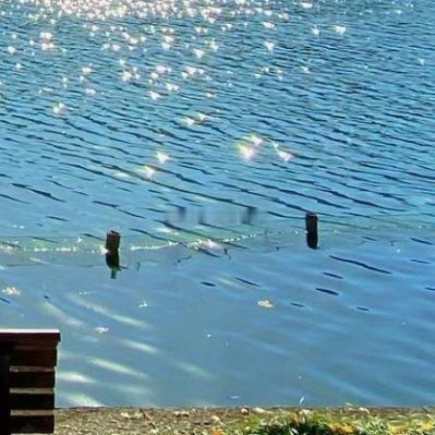 每日一善 谁的人生不是荆棘前行，你跌倒的时候，懊恼的时候，品尝眼泪的时候，都请你