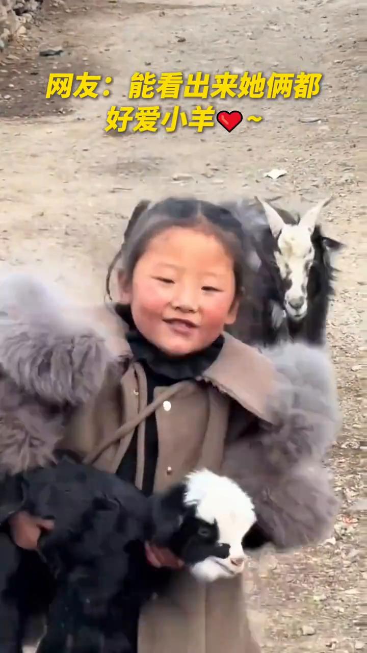 前面是童真，后面是母爱。小女孩抱着小羊欢快奔跑，羊妈妈一路温柔追赶。
西藏拉萨。