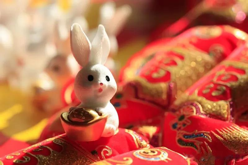 生肖兔着实值得深交！他们心地善良、性情温和，为人坦诚且毫无心机，宛如冬日暖阳，能