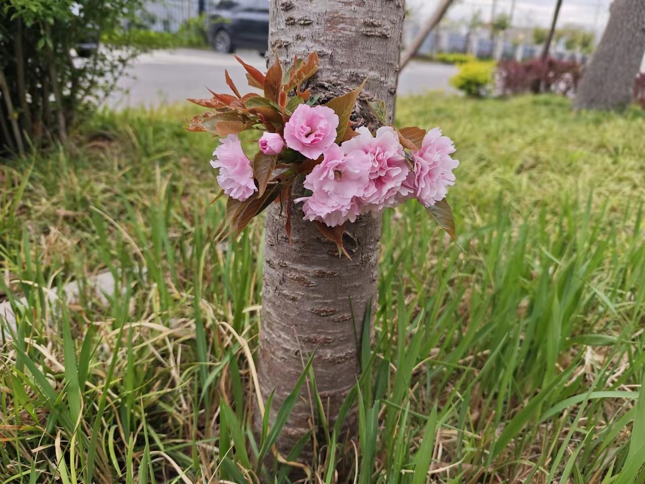 昨晚三个人去吃烧烤，结账时店家说我们消费了 248 元，因为平时都吃这家，所以我