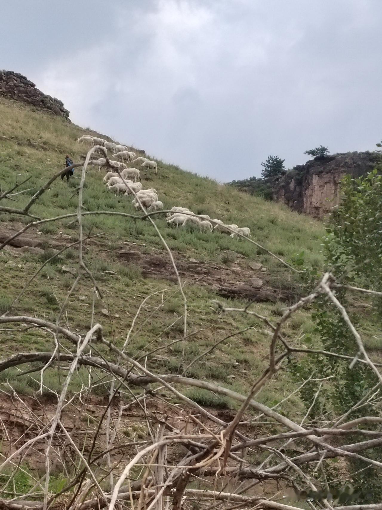 来到老牛湾，看到这里贫瘠的土地，漫山遍野好像也长不出多少庄稼，我就在想，以前这里
