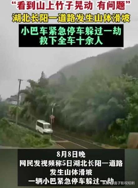 湖北长阳的乡村小巴司机熊飞，在连日暴雨的山路上行驶时，敏锐瞥见山坡上的竹子在无风