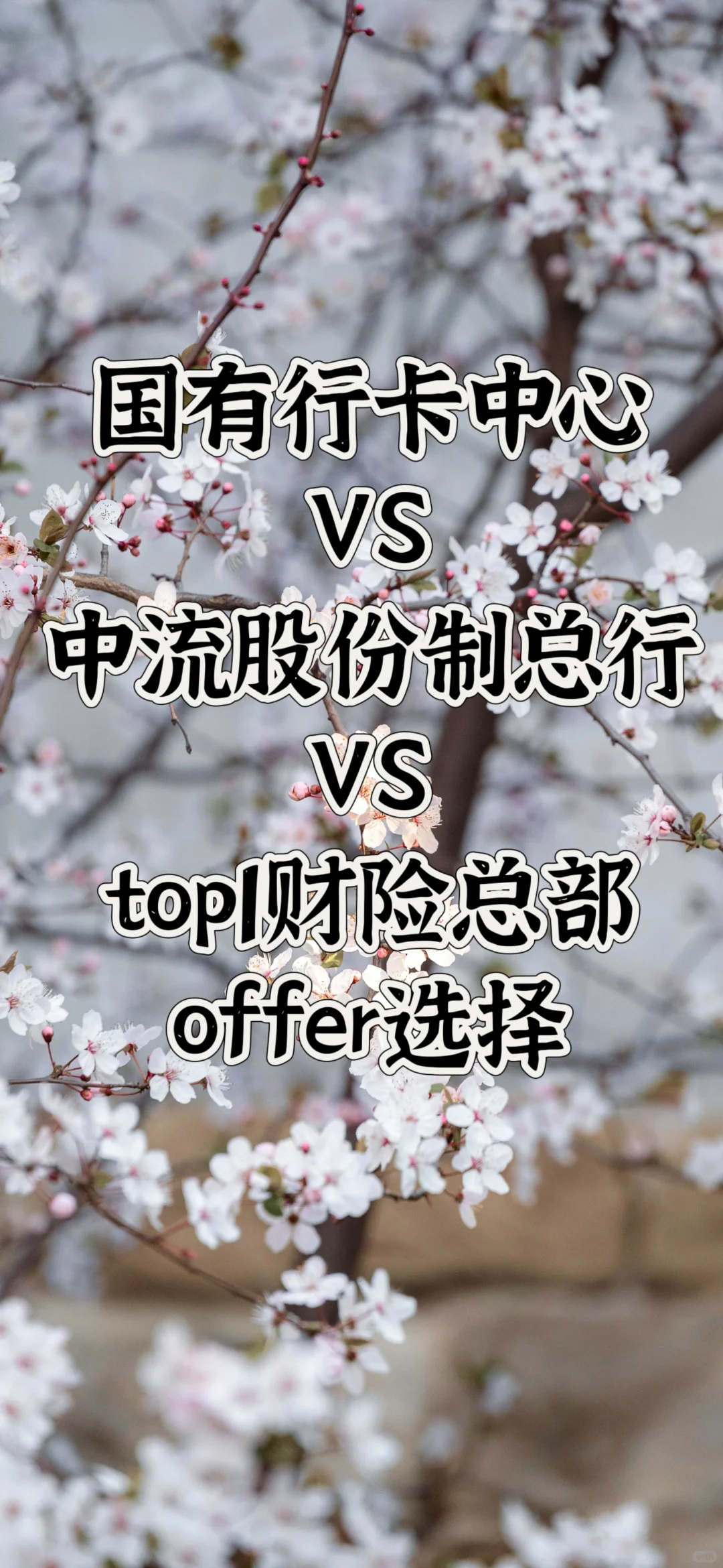 金融类数据分析岗位选择🤔