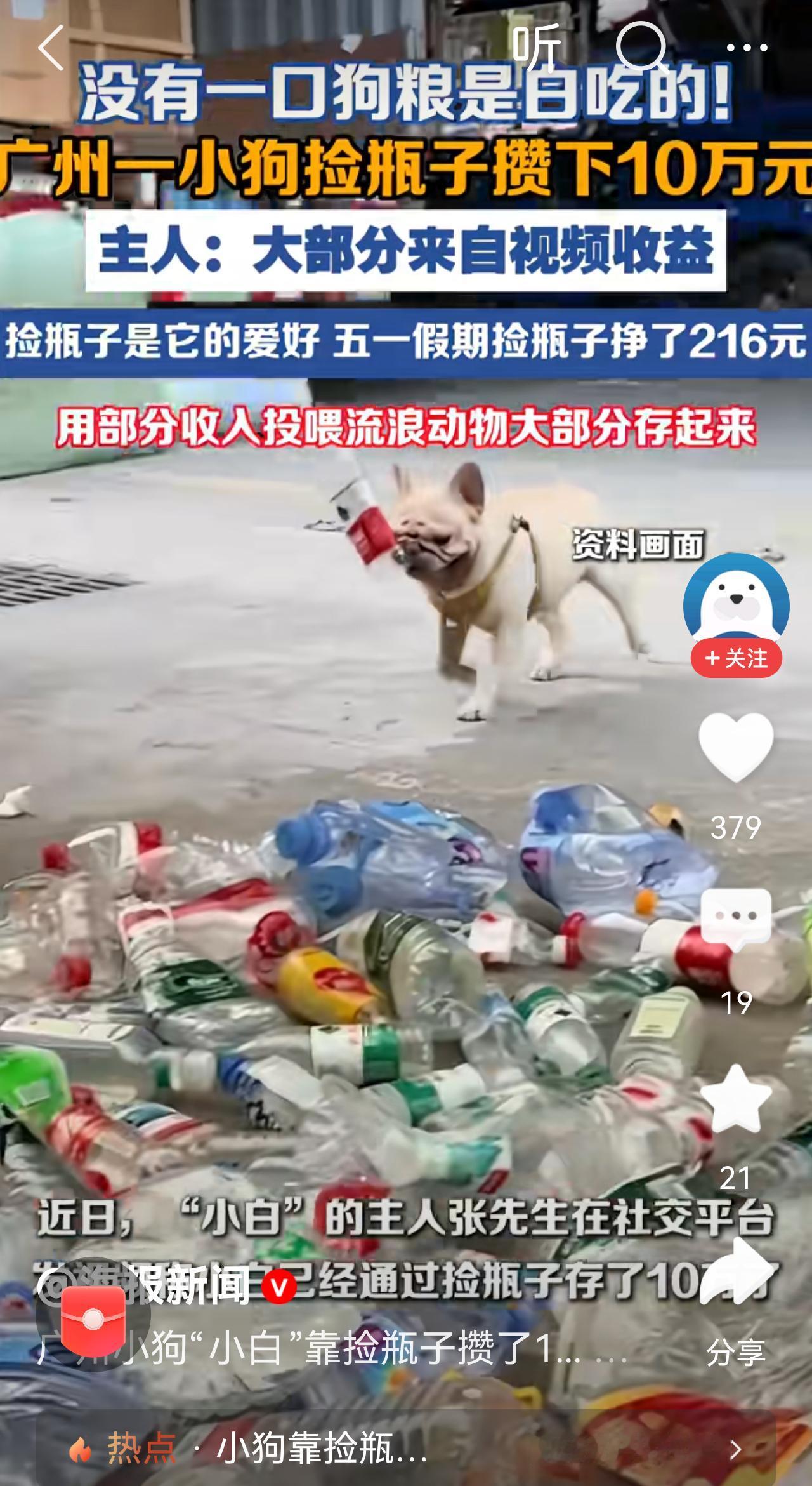 这只狗比有的人强[偷笑]