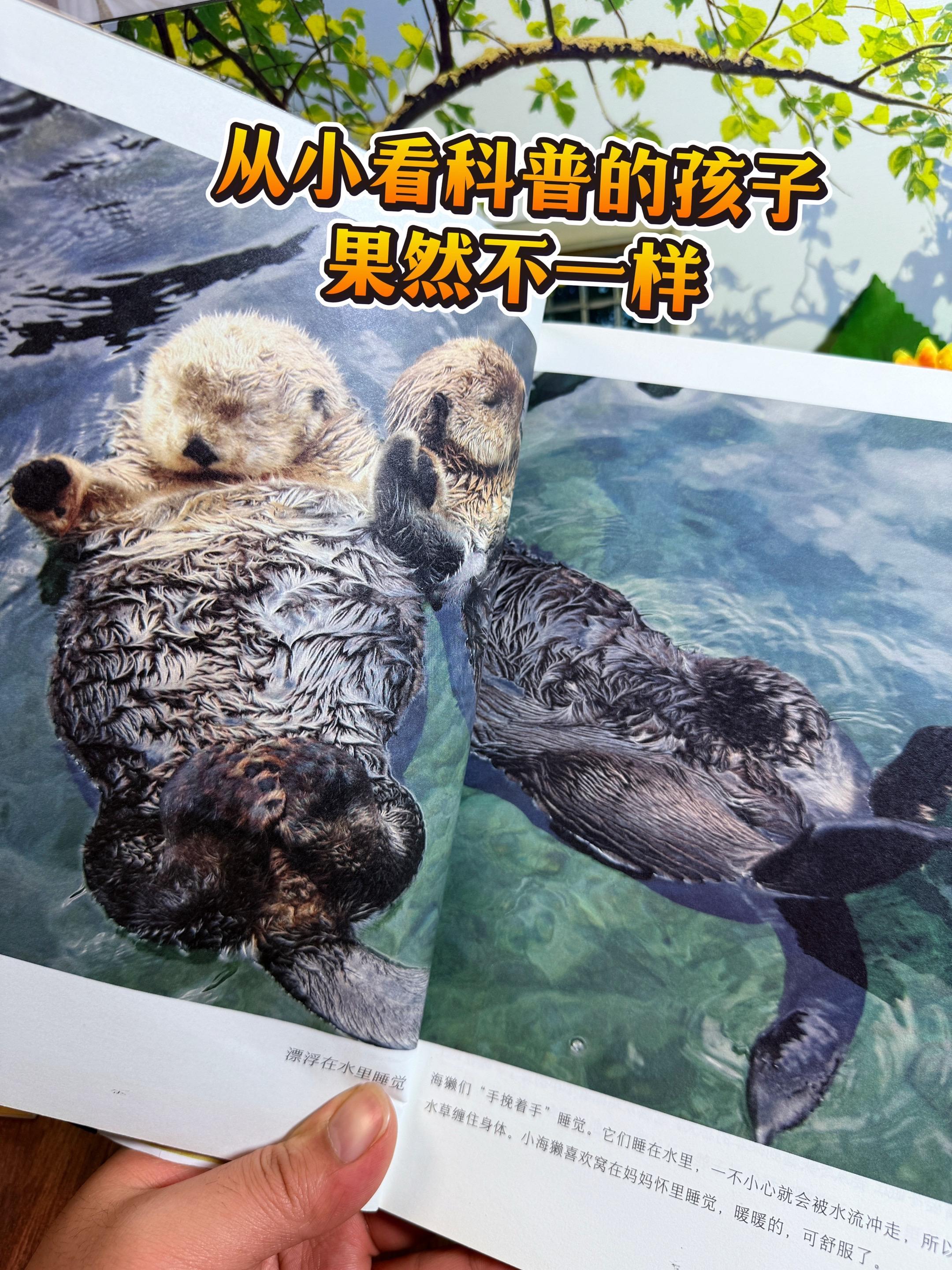 3岁就可以看的动植物科普书！全部高清实拍大图每本都有足足251页！ 包...