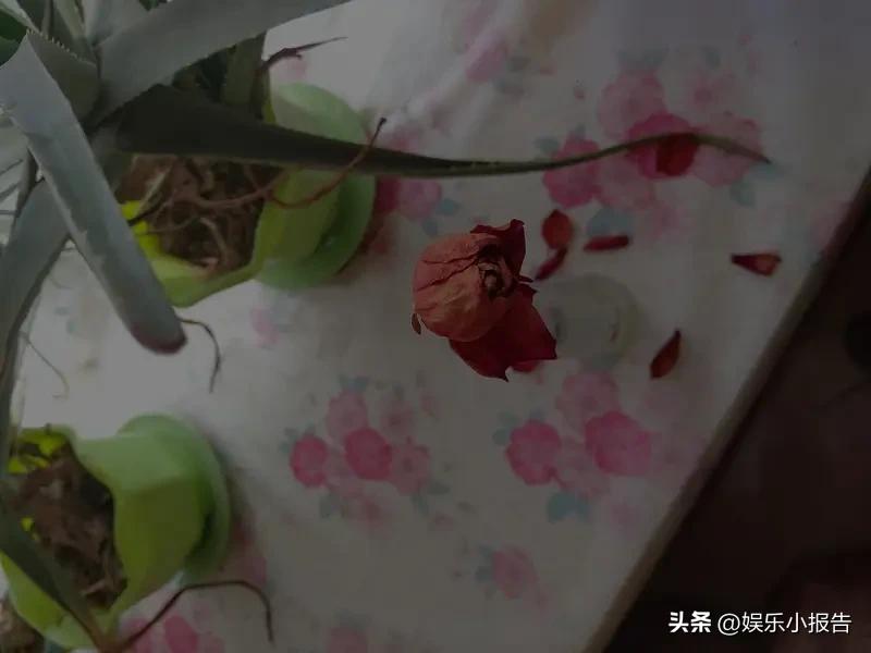 偷偷告诉你们个秘密，我闲下来的时候…连个说话的人都没有……有闲余时间都是刷抖音，