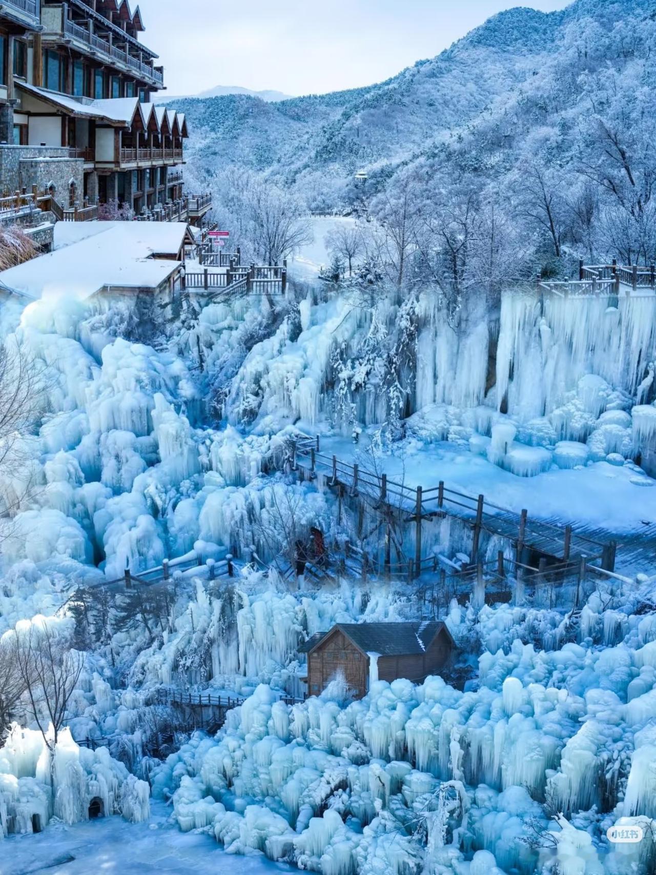 每年假期
我带孩子出去旅游前
都会给老家的婆婆打电话
问要不要一起去转一转玩一玩