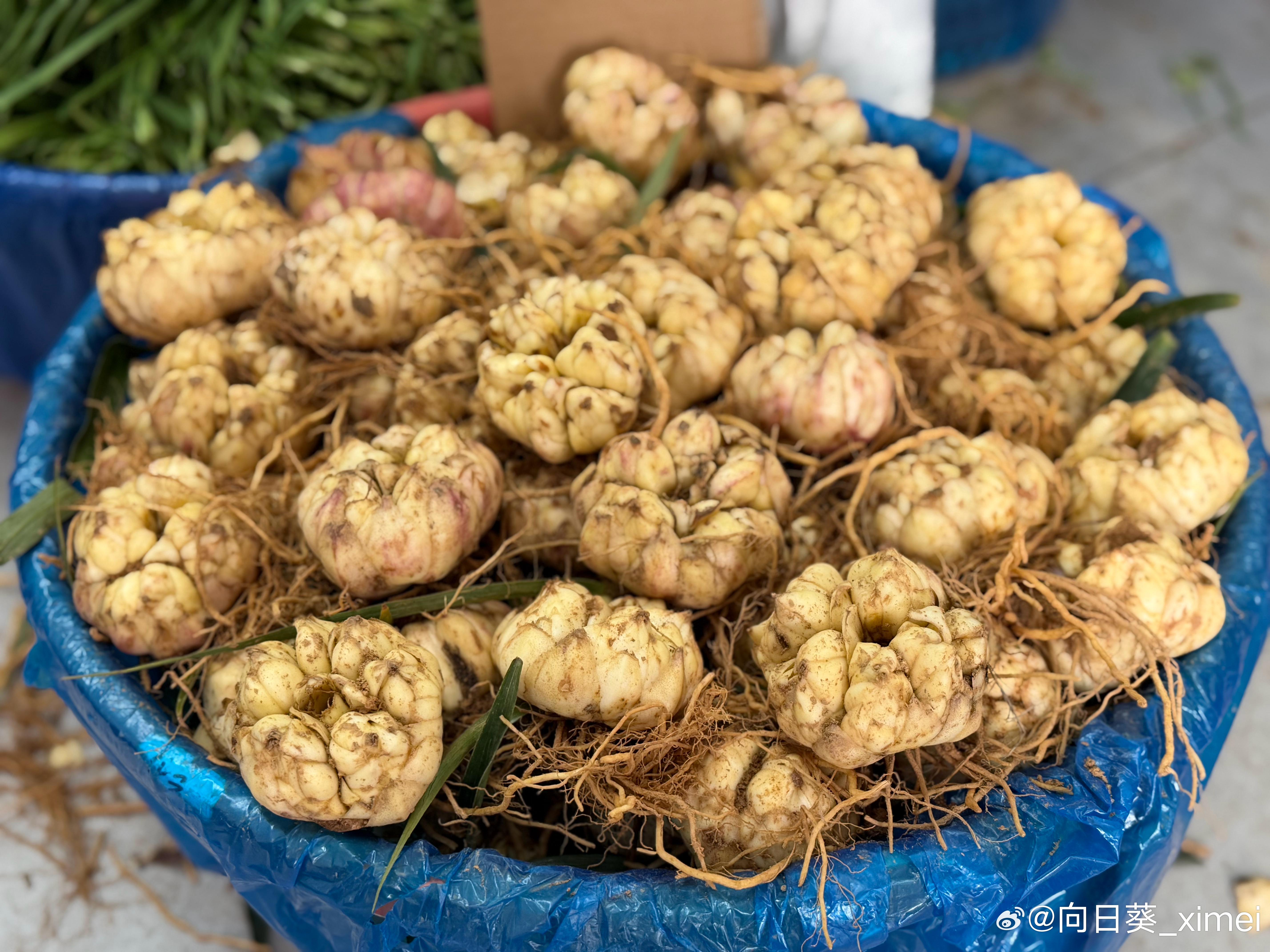 每日一餐分享夏日炎炎新鲜的百合莲子汤一道清甜可口的饮品糯叽叽带一点苦味一缕清香悠