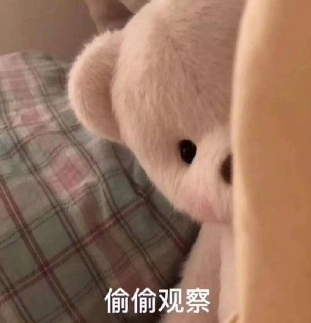 “不要做可爱的人”“要做你爱的人” 