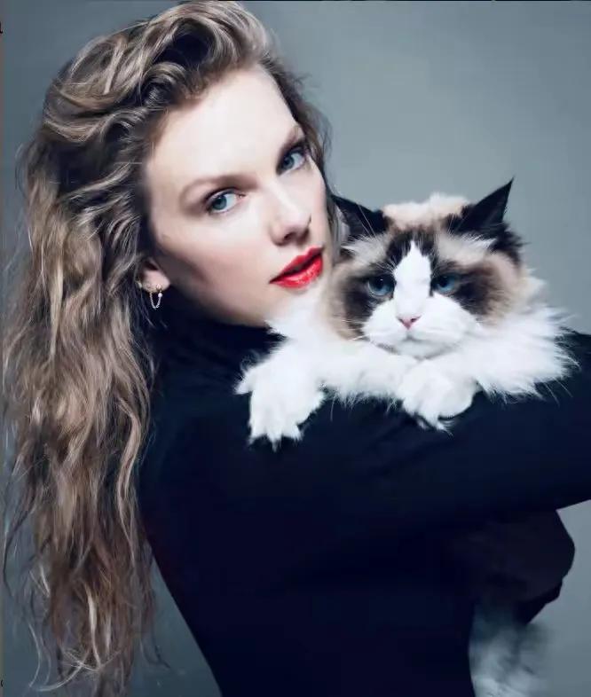 为什么霉霉的猫猫就可以和它看一个方向，我的逆子，就是快放开我，杀猫啦，杀猫了～#