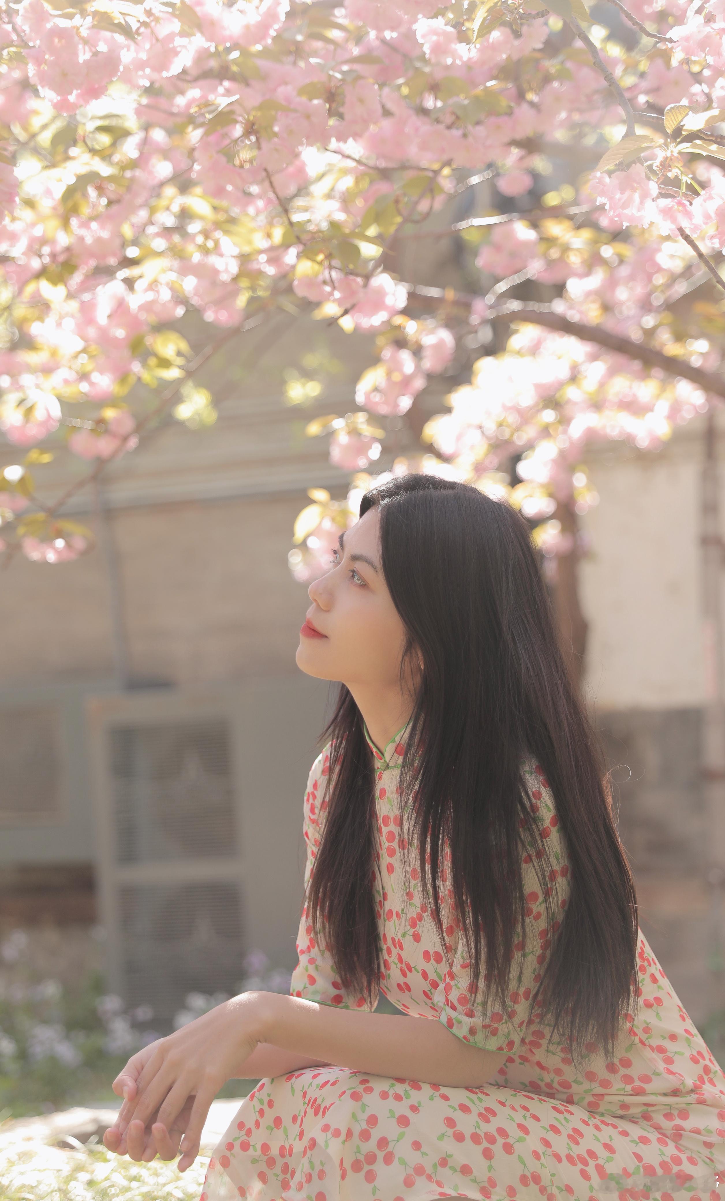 【春生夏长｜秋收冬藏】拍摄古建筑，是从自己对节气变得敏感的那一年开始，都市的生活