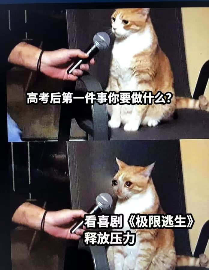看喜剧泪目算成年人的闯关吗 谁不是一边狼狈一边奋力逃生 笑着观影，哭着回味，《极