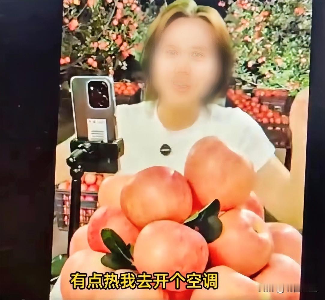 假扮果农，户外卖桃，来了一句：“我去开空调，有点热”。自己戳穿了骗局！

河北这