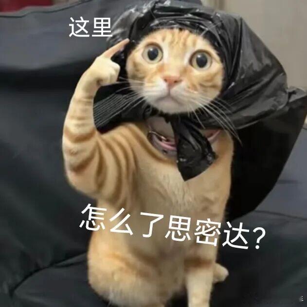 宝格丽小公主缺席晚宴来了来了，又是虞书欣花钱买的烫搜是啊是啊，虞书欣钱多的没地方
