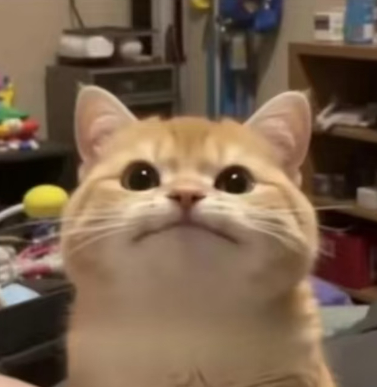 480p→1080p 