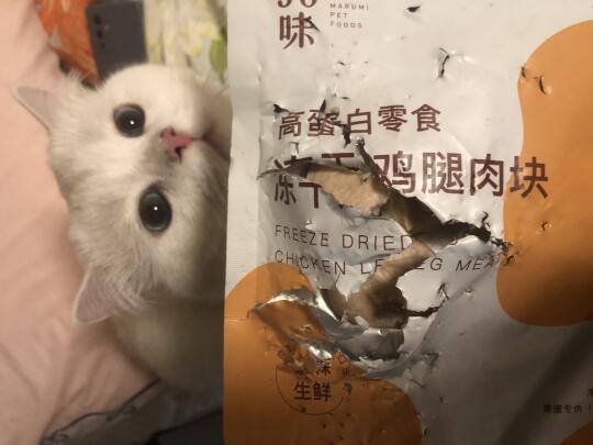 关于我养了一只小订书机的不完全统计