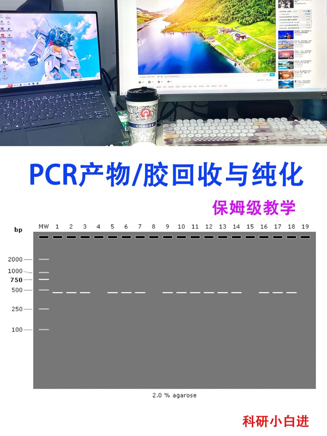 导师以为你会，但不一定教你的胶回收技术