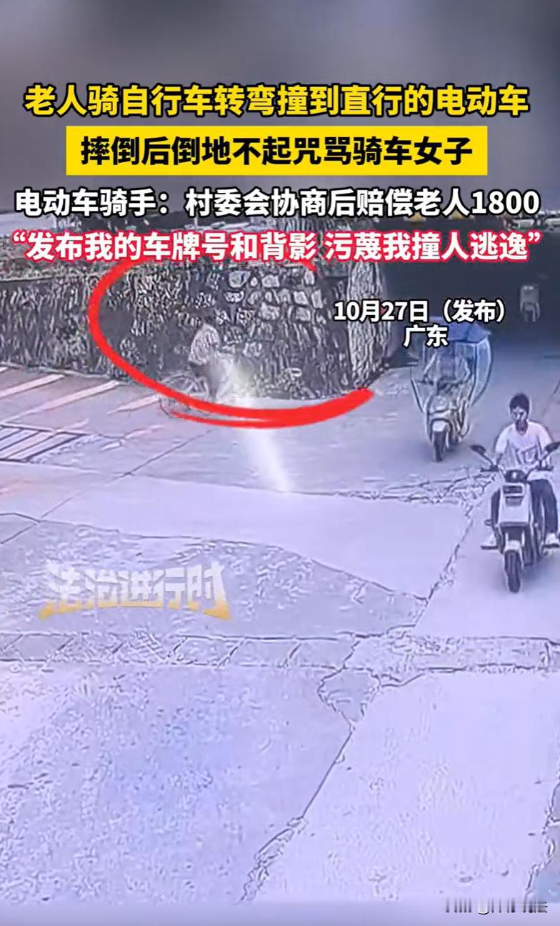 “不是谁弱谁有理！”广东，一女子骑着电动车直行，一老奶奶骑着自行车从旁边小路左转