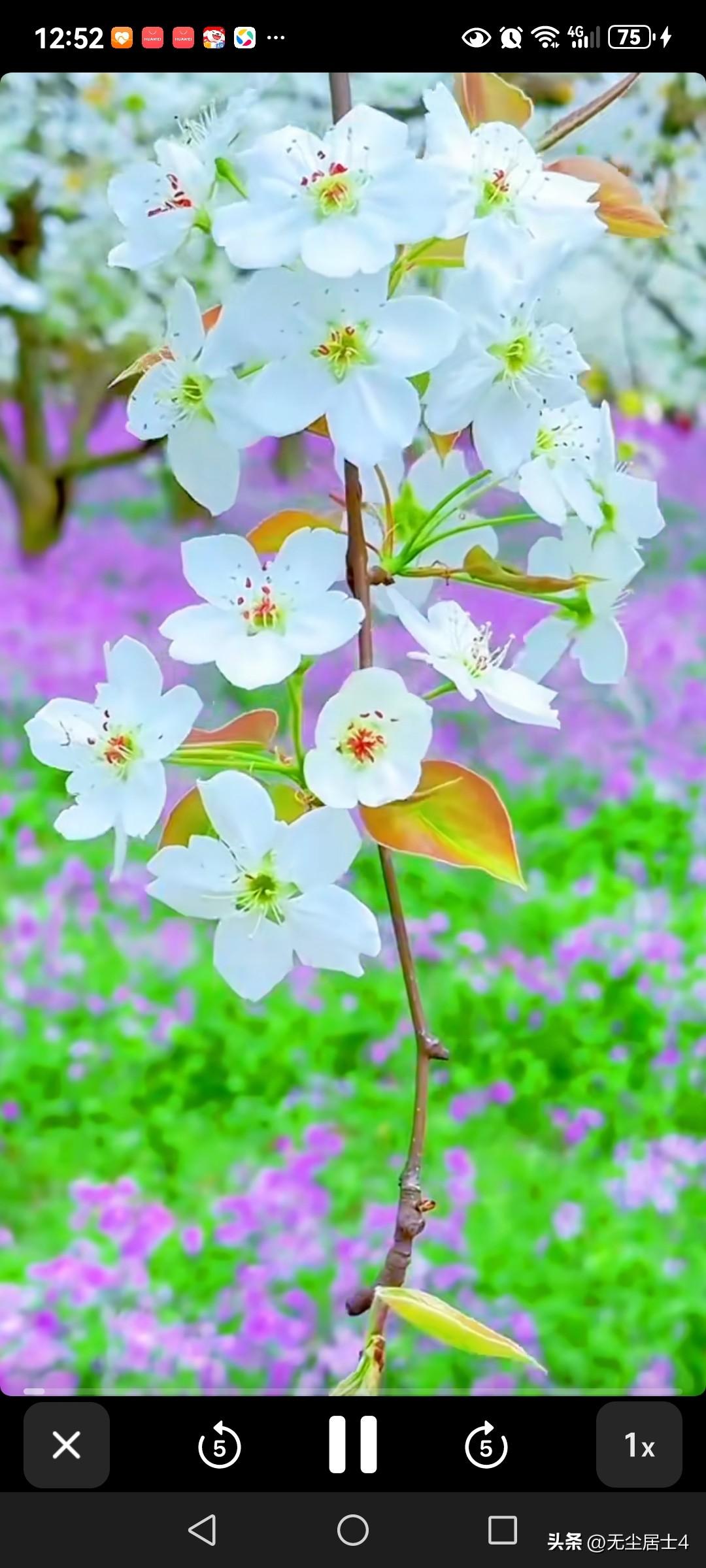 我胃癌两年半后，终于找到不长体重的主要原因了。
因为我经过胃癌术后八次的辅助化疗