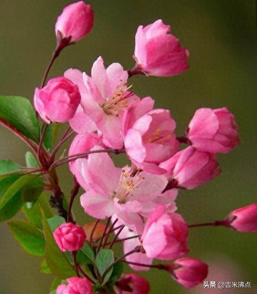 寒门读书难，科举不是唯一路，那穷人到底怎么翻身？
最近翻了几本老县志，又看了点宋