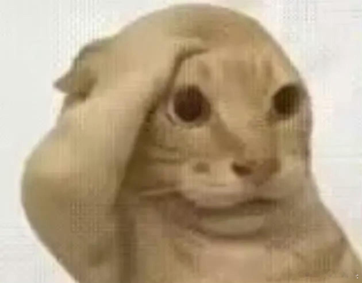 和一个客户的家人闲聊明星八卦聊嗨了，她问我你一个大老爷们怎么什么明星都认识，三次