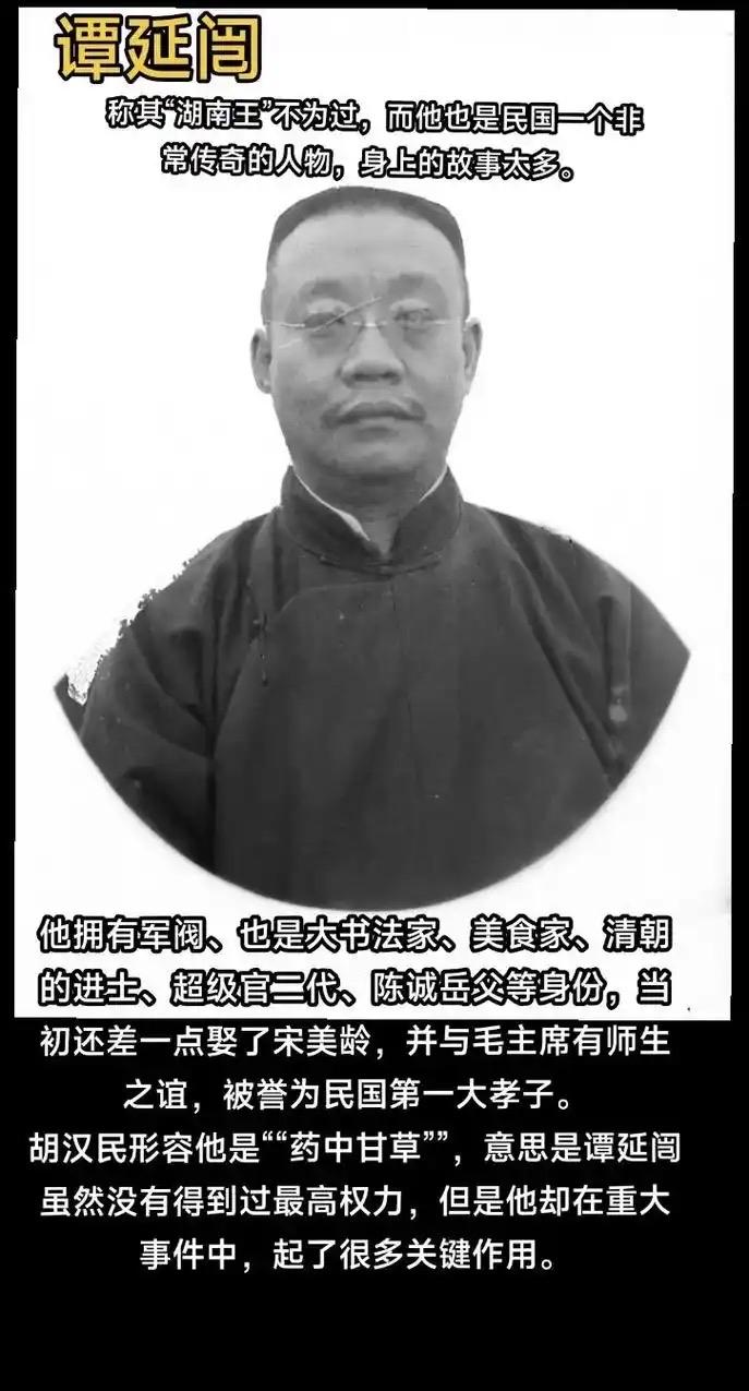 这位人物是民国时期的著名元老谭延闿，他的人生经历充满了极具戏剧性的历史转折。
一
