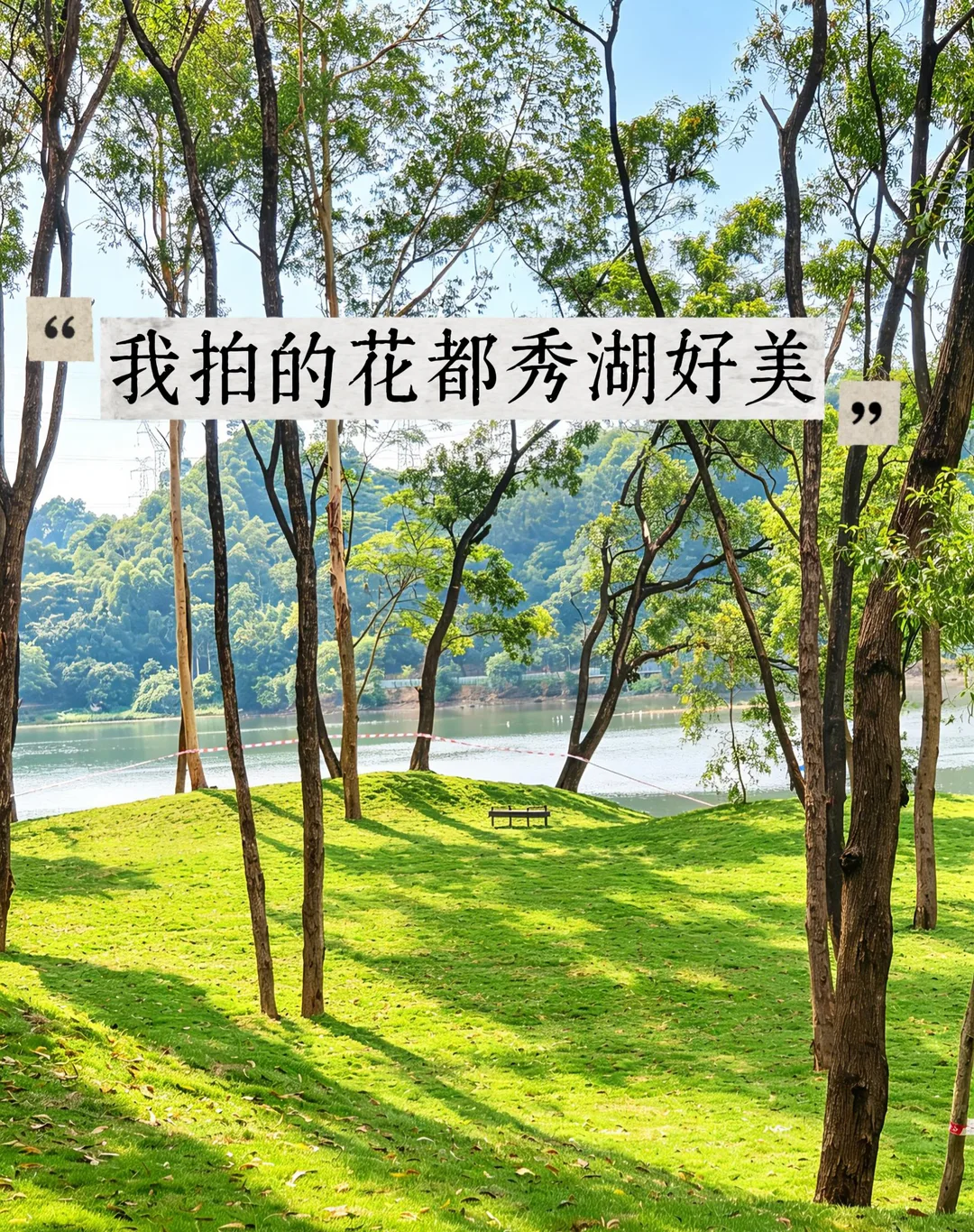 我把花都秀湖拍的好美🌚